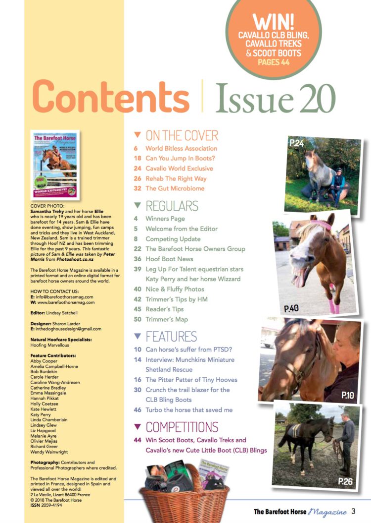 Contents Issue 20